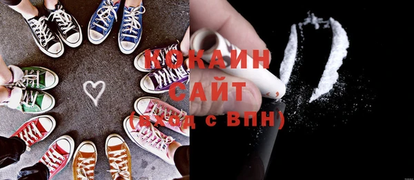 кокс Гатчина