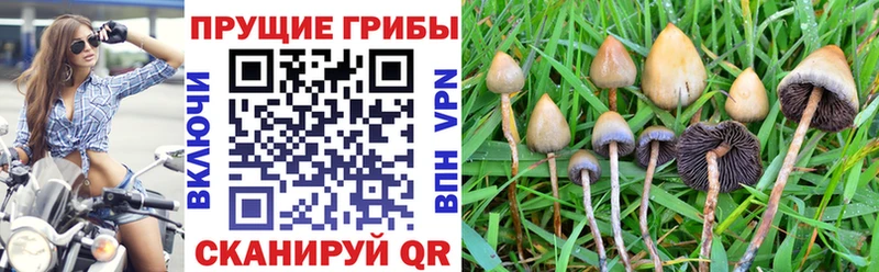 что такое наркотик  Тара  Галлюциногенные грибы мухоморы 